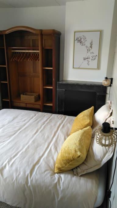 Le Nid De L'Ile Apartamento Chinon Exterior foto